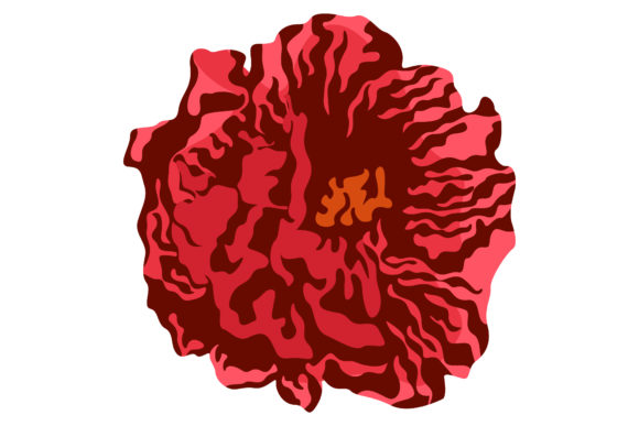 Beautiful Red Rose 176