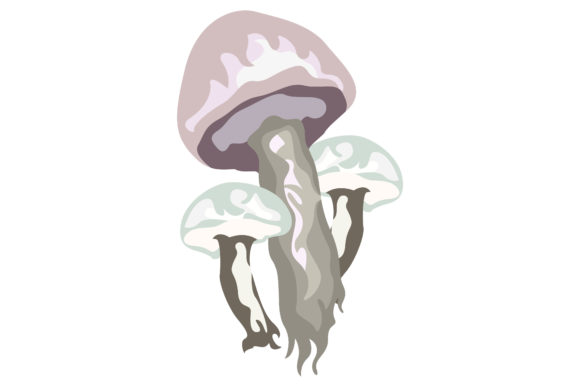 Deadly White Mushrooms 188