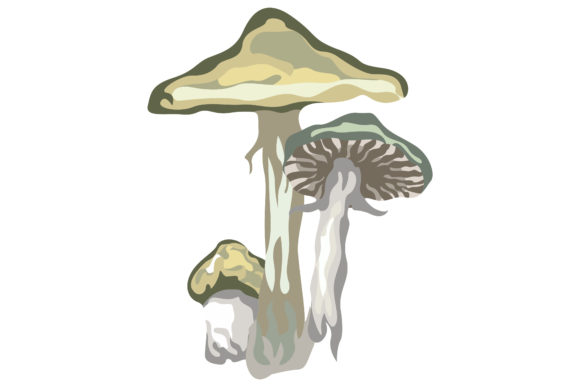 Deadly White Mushrooms 196