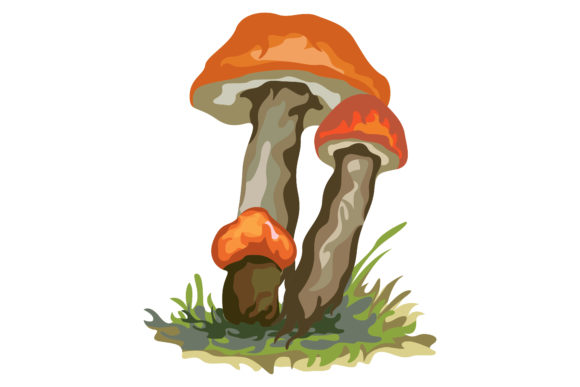 Orange Mushroom with Grass 185