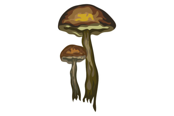 Poisonous Brown Mushrooms 194