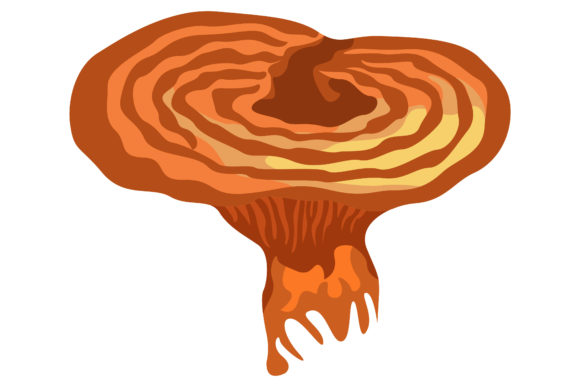Poisonous Orange Mushrooms 186